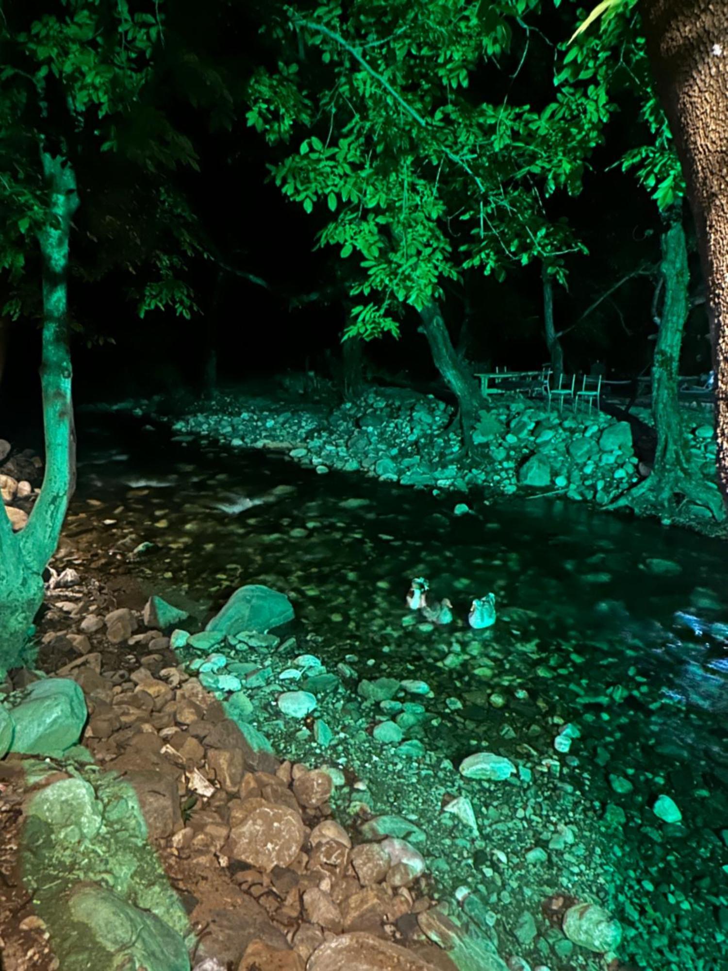 אדרמיט Sakliderebutikotel מראה חיצוני תמונה